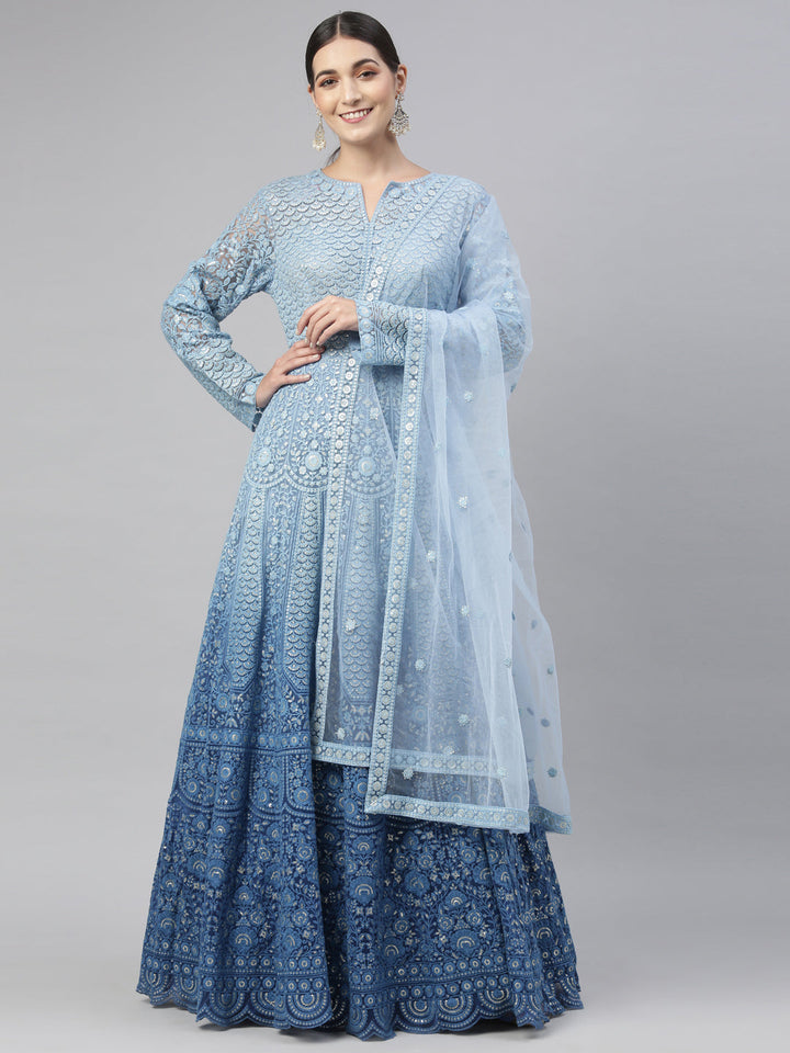Neerus Blue net embroidered gown - detail view 17
