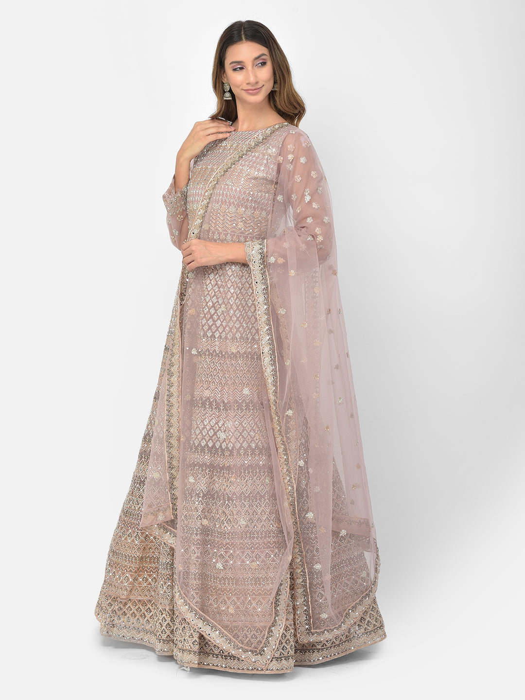 Neerus Pink net embroidered gown - back view