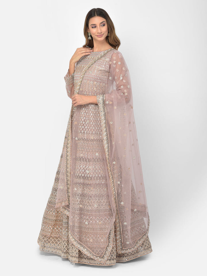 Neerus Pink net embroidered gown - back view