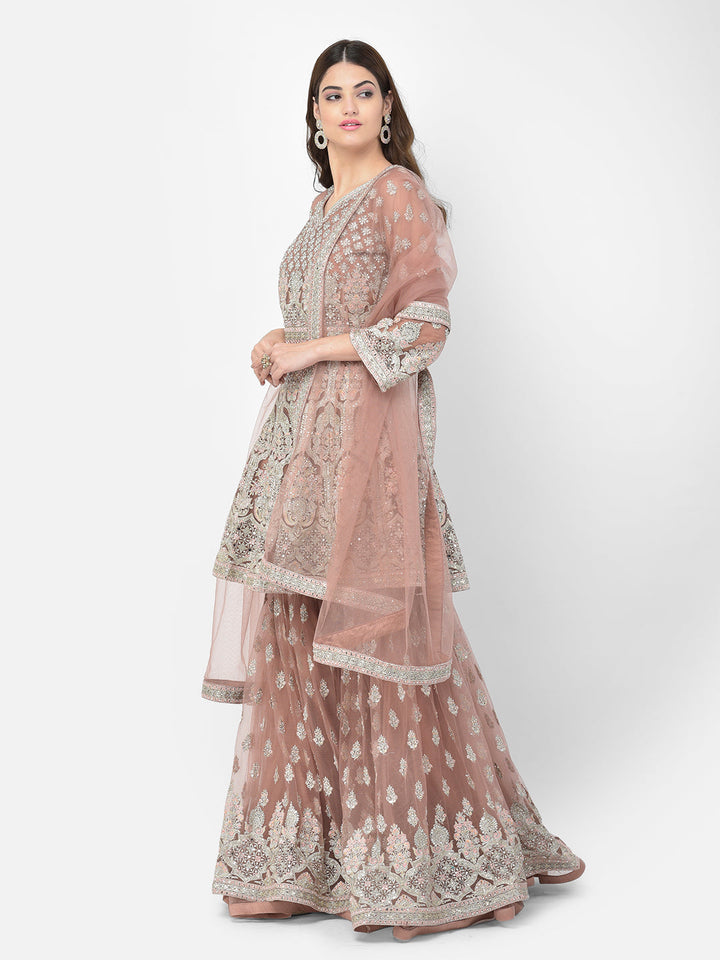 Neerus Pink net embroidered sharara set - back view