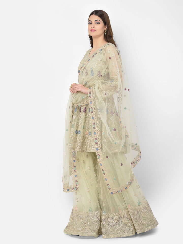 Neerus Green net embroidered sharara set - side view