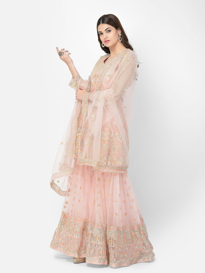 Neerus Orange net embroidered sharara set - back view