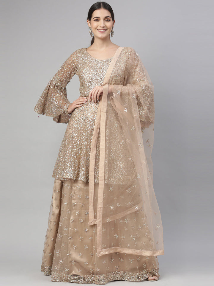 Neerus Gold net embellished lehenga set - detail view 20