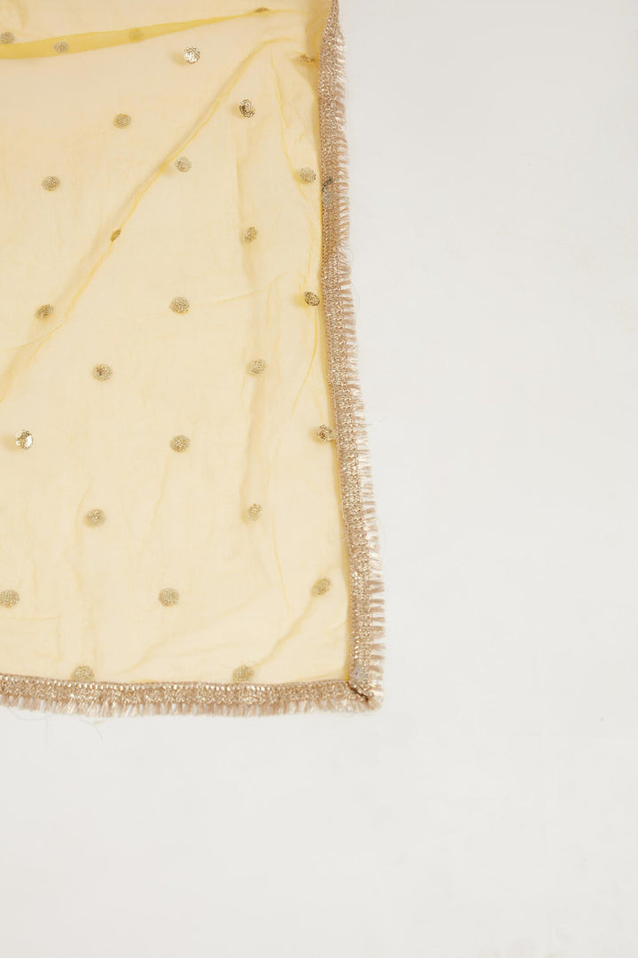Neerus Yellow georgette embellished lehenga set - detail view 4