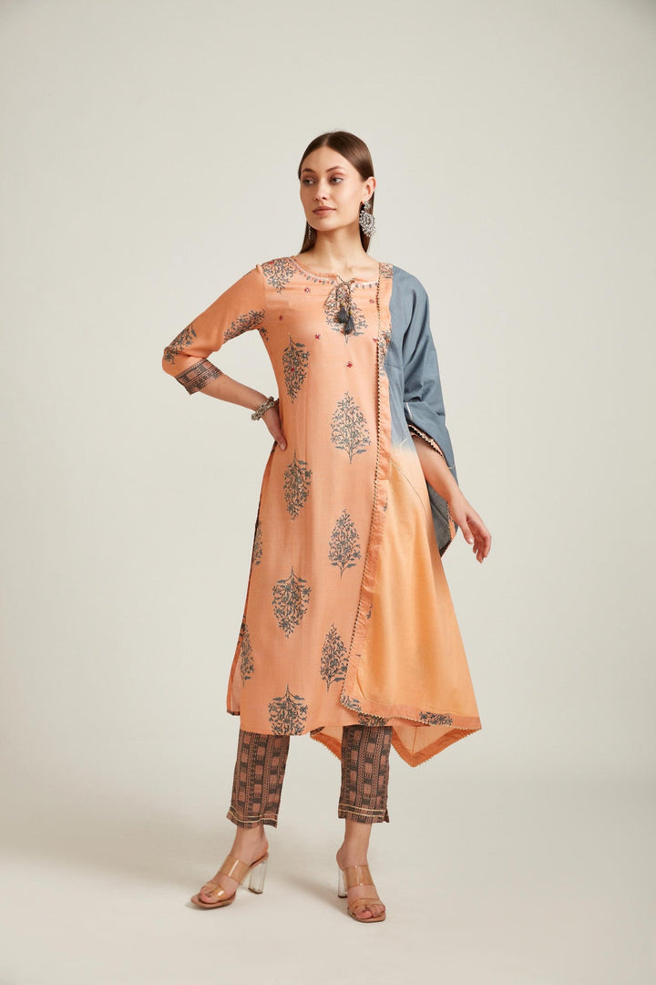 Neerus Pink viscose rayon straight kurta set salwar kameez - front view