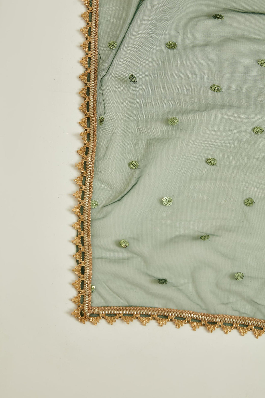 Neerus Green georgette embroidered gown - detail view 2