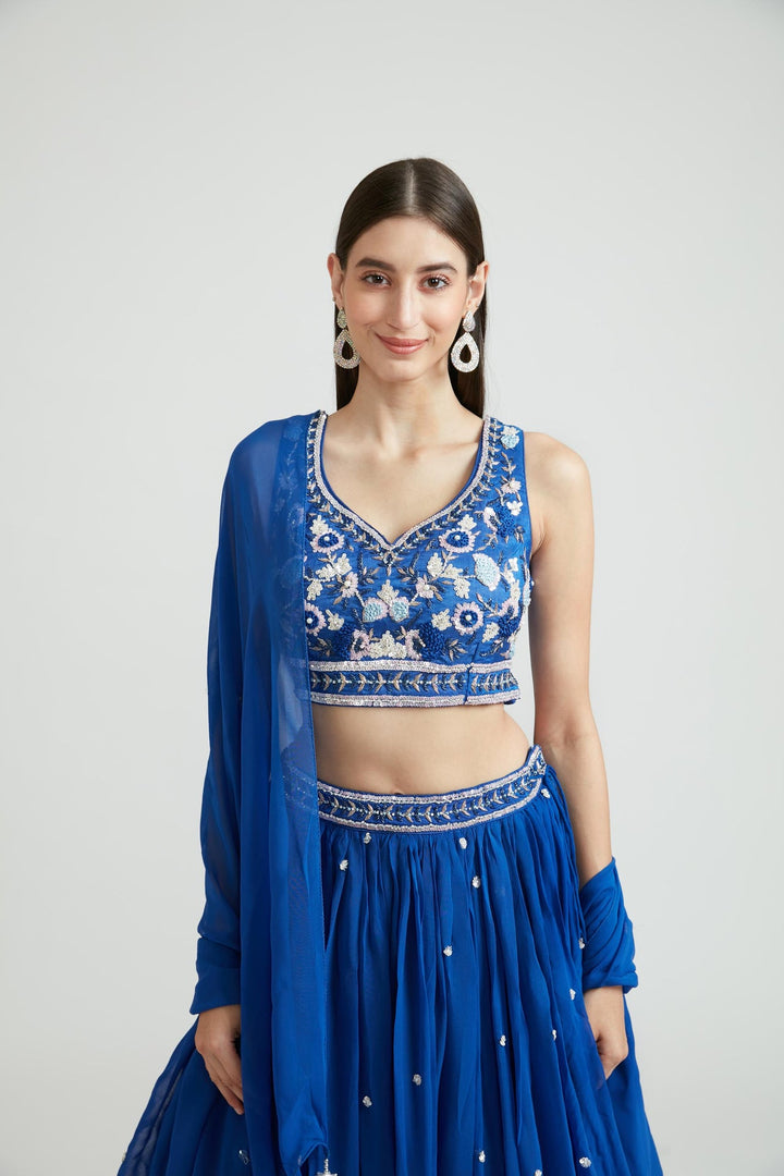 Neerus Blue Georgette Embellished Lehenga Choli - back view