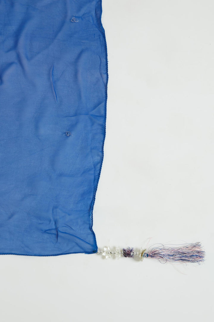Neerus Blue Georgette Embellished Lehenga Choli - detail view 3
