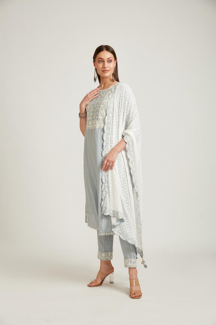 Neerus Grey cotton straight kurta set salwar kameez - back view