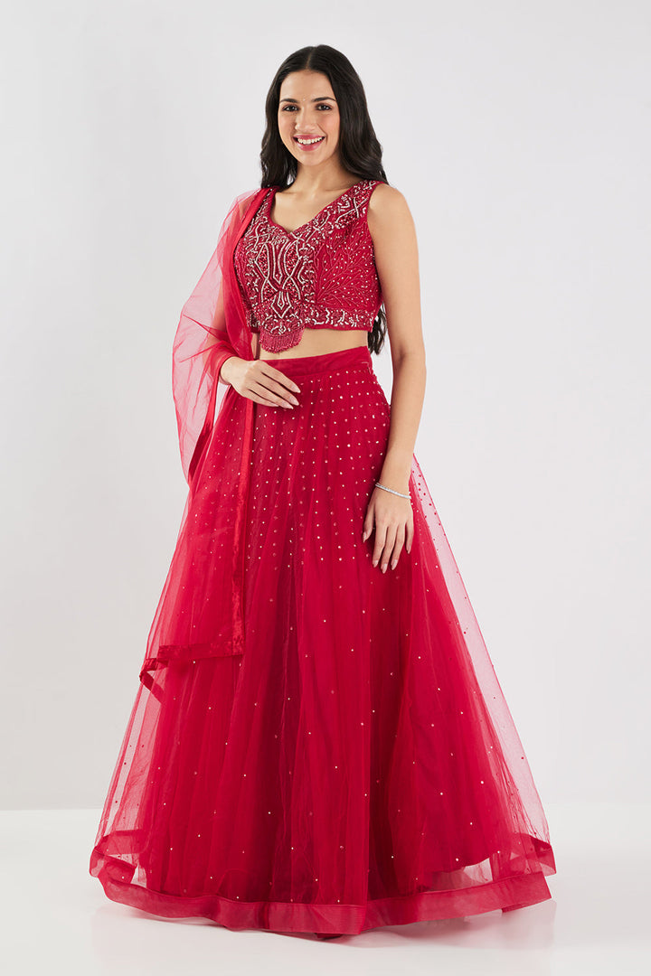 Neerus Maroon net embellished lehenga set - back view