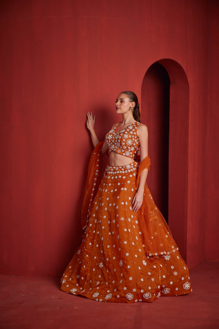 Neerus Yellow georgette embellished lehenga set - back view