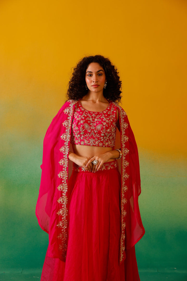 Neerus Pink organza embroidered lehenga ghagra set - detail view 4