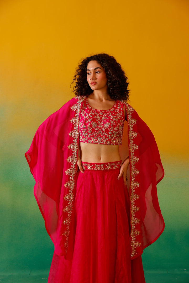Neerus Pink organza embroidered lehenga ghagra set - detail view 6