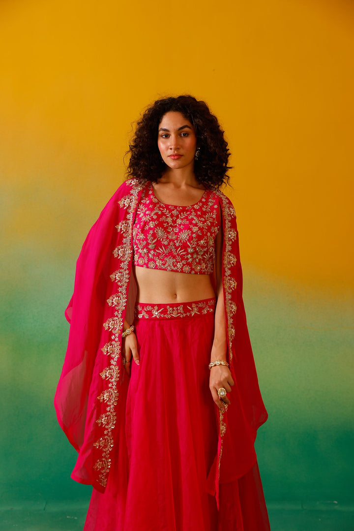 Neerus Pink organza embroidered lehenga ghagra set - detail view 7