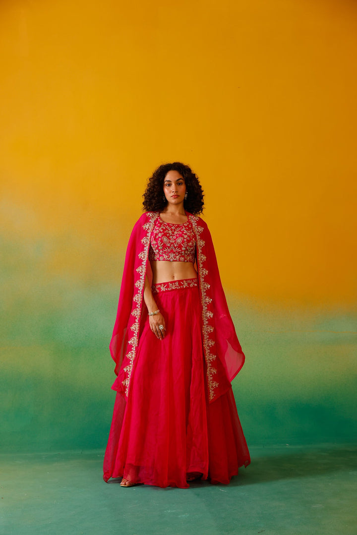 Neerus Pink organza embroidered lehenga ghagra set - detail view 8