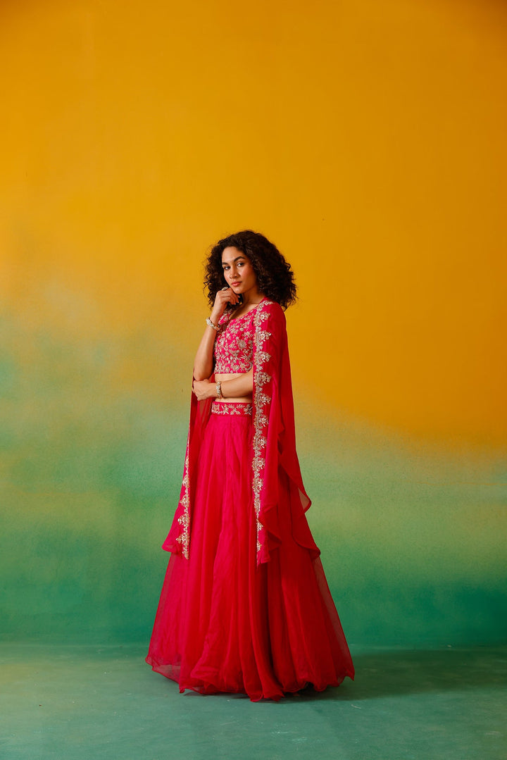 Neerus Pink organza embroidered lehenga ghagra set - detail view 14