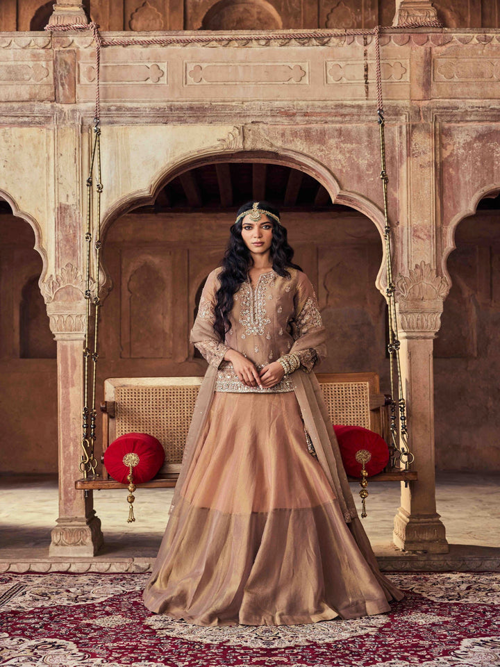 Neerus Brown tissue embroidered co-ord set - front view
