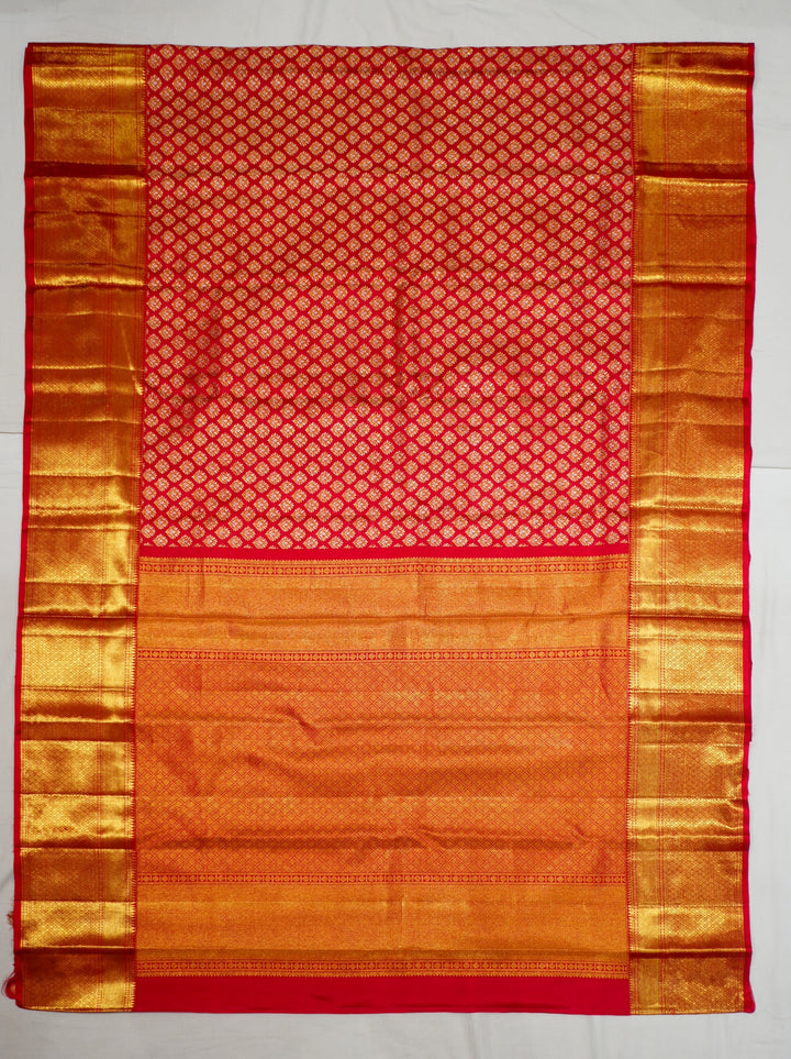 Neerus Red Pattu Silk woven Kanchi saree - detail view 1
