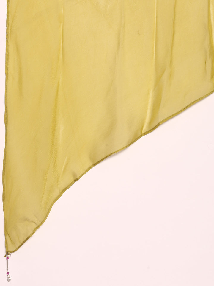 Variyali Green Chinnon Heavy Sequins Ghagra Set