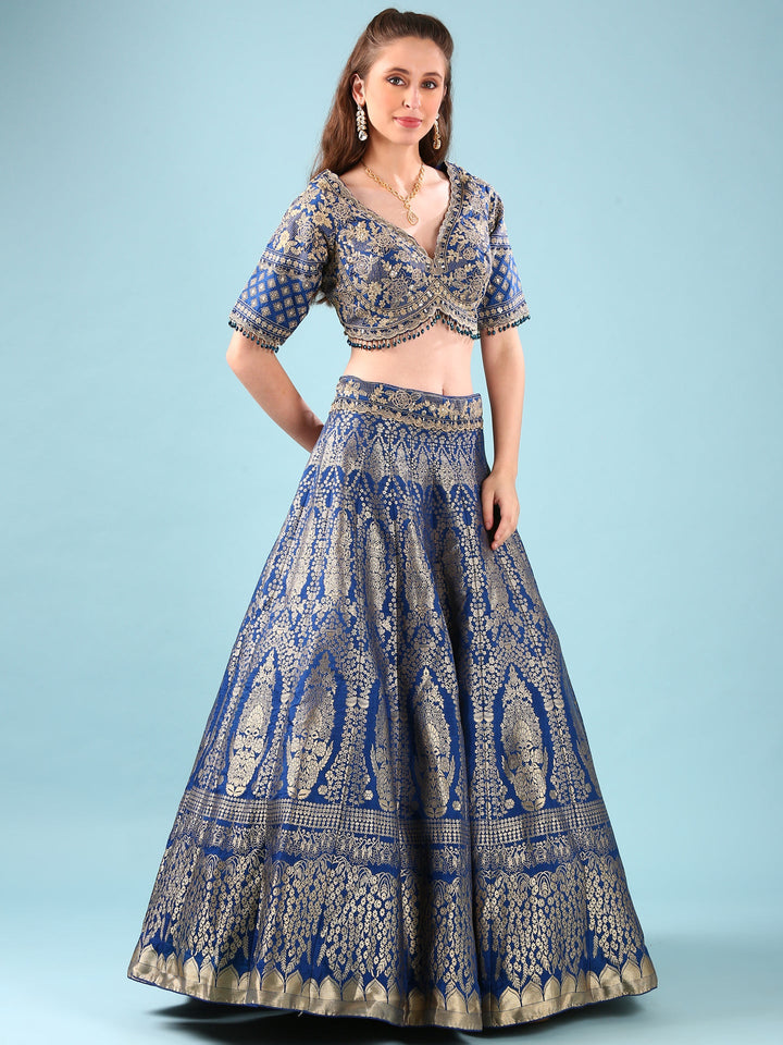 Neerus Blue silk hand embroidered lehenga set - back view