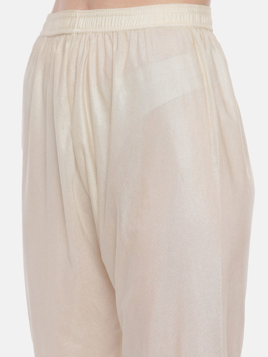 Neerus Beige Chanderi embroidered anarkali suit set - detail view 2