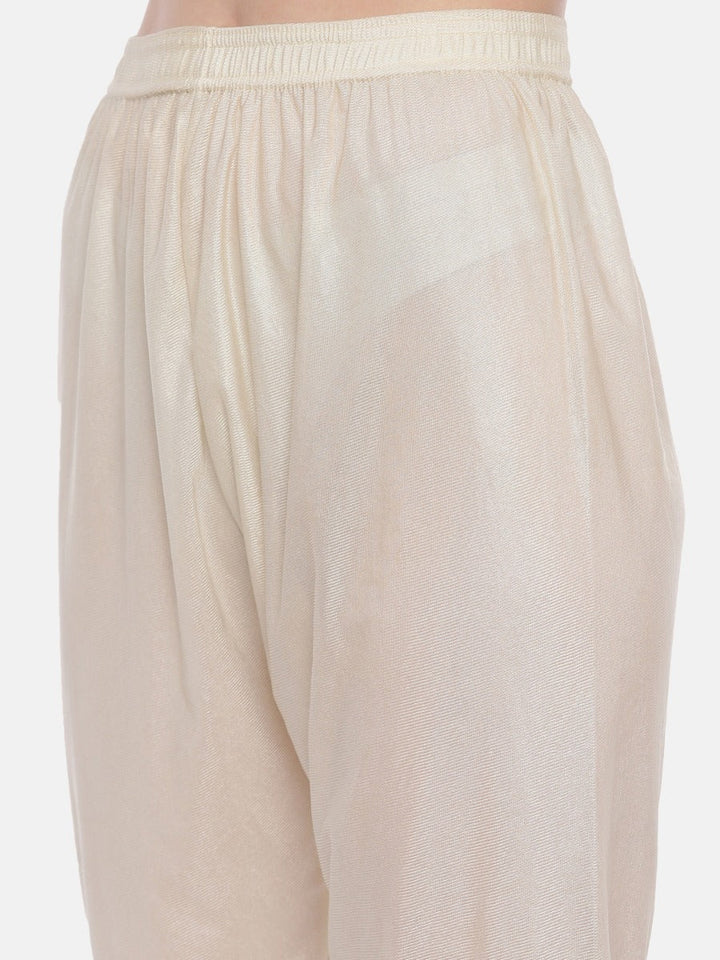 Neerus Beige Chanderi embroidered anarkali suit set - detail view 2