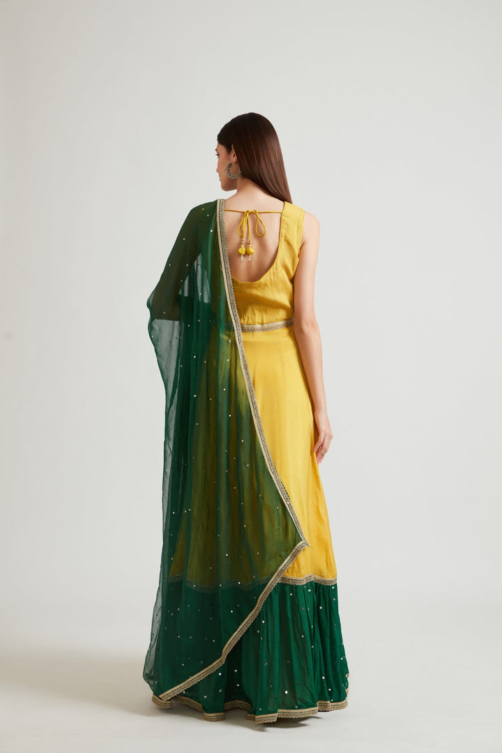 Neerus Yellow Chinon Anarkali Gown - side view