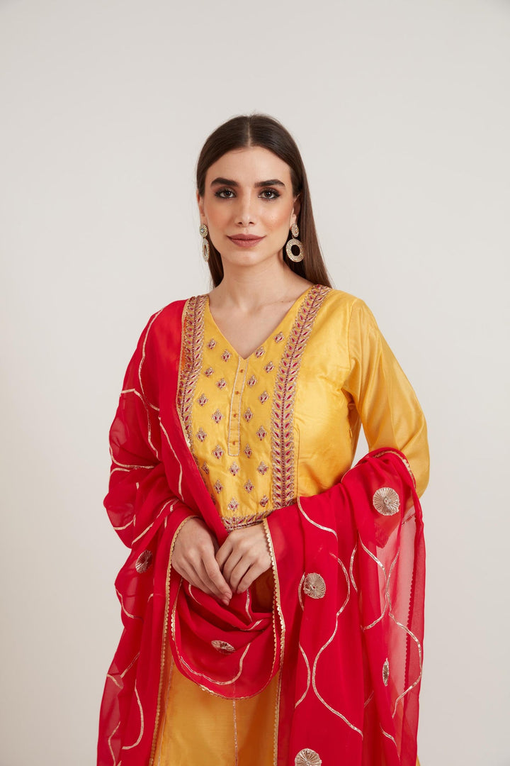 Neerus Yellow Chanderi Cotton Embroidered Anarkali Suit Set - back view