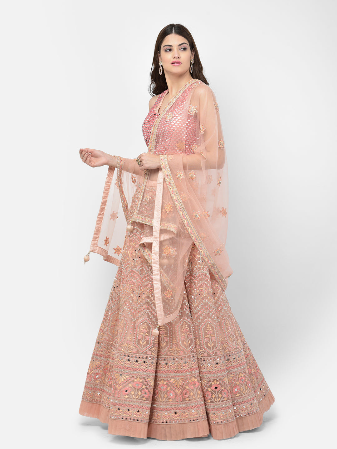 Neerus Pink net embellished lehenga choli - back view
