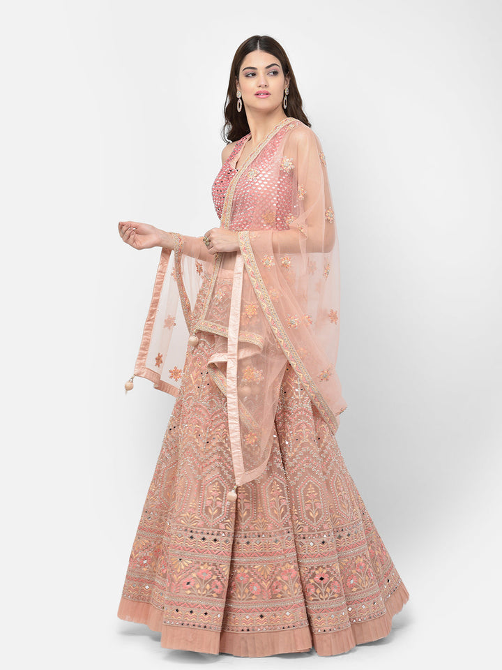 Neerus Pink net embellished lehenga choli - back view