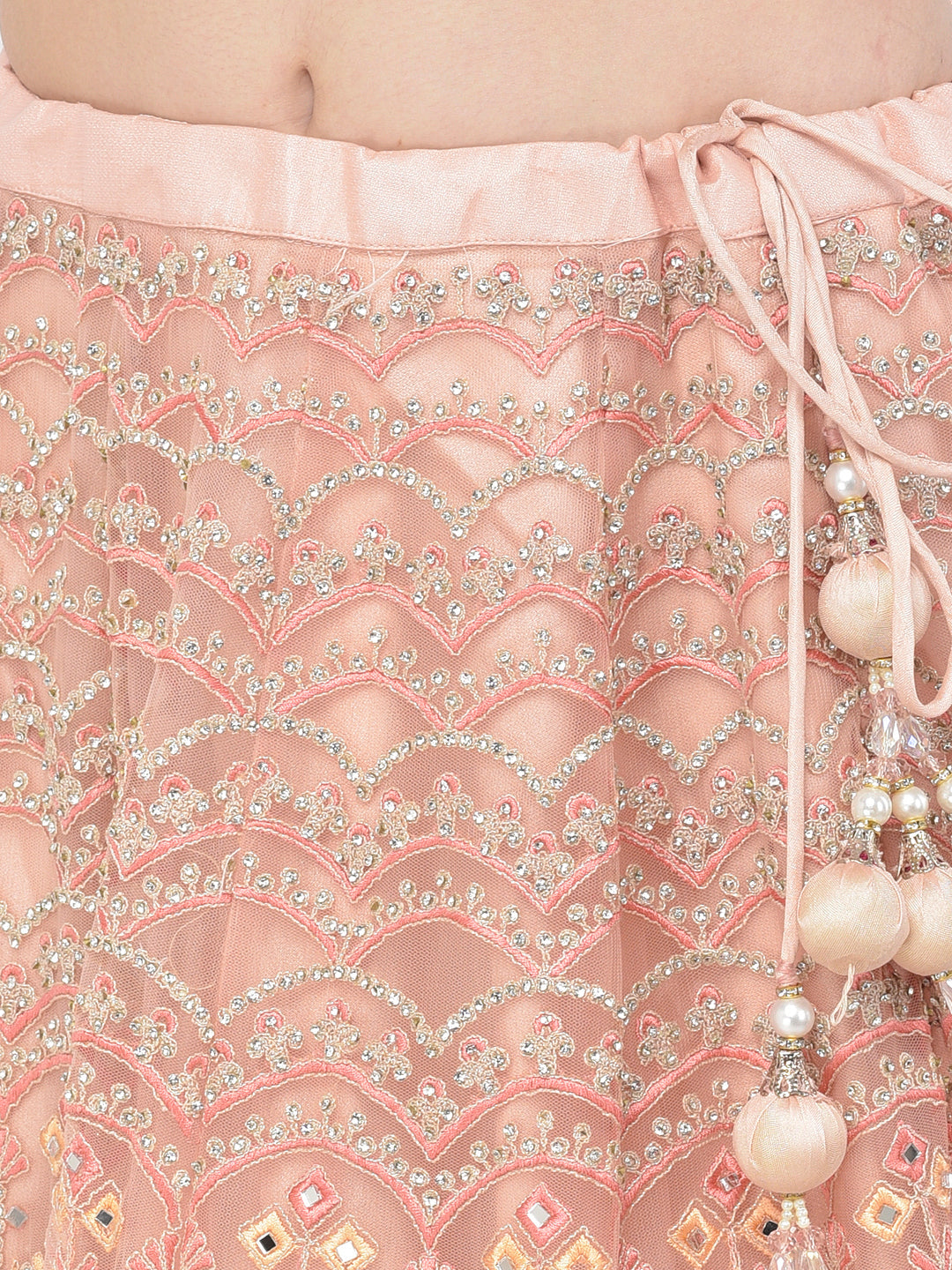 Neerus Pink net embellished lehenga choli - detail view 2