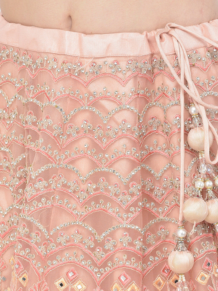 Neerus Pink net embellished lehenga choli - detail view 2