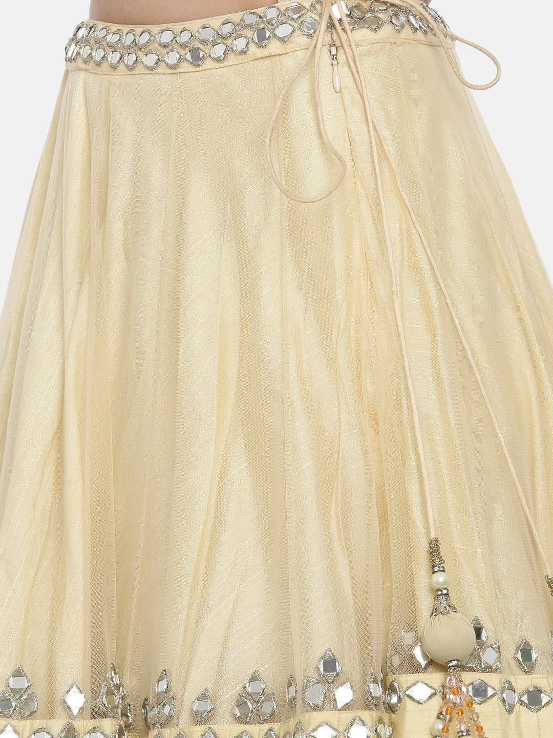 Neerus White net embellished lehenga ghagra set - detail view 4