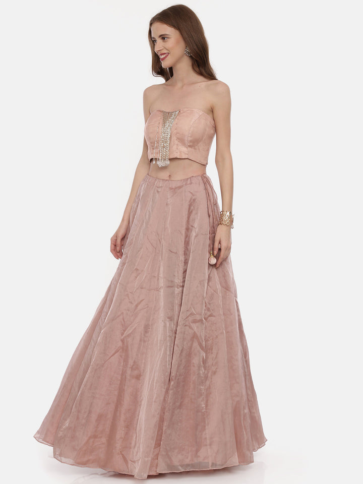 Neerus Pink net embellished lehenga set - side view