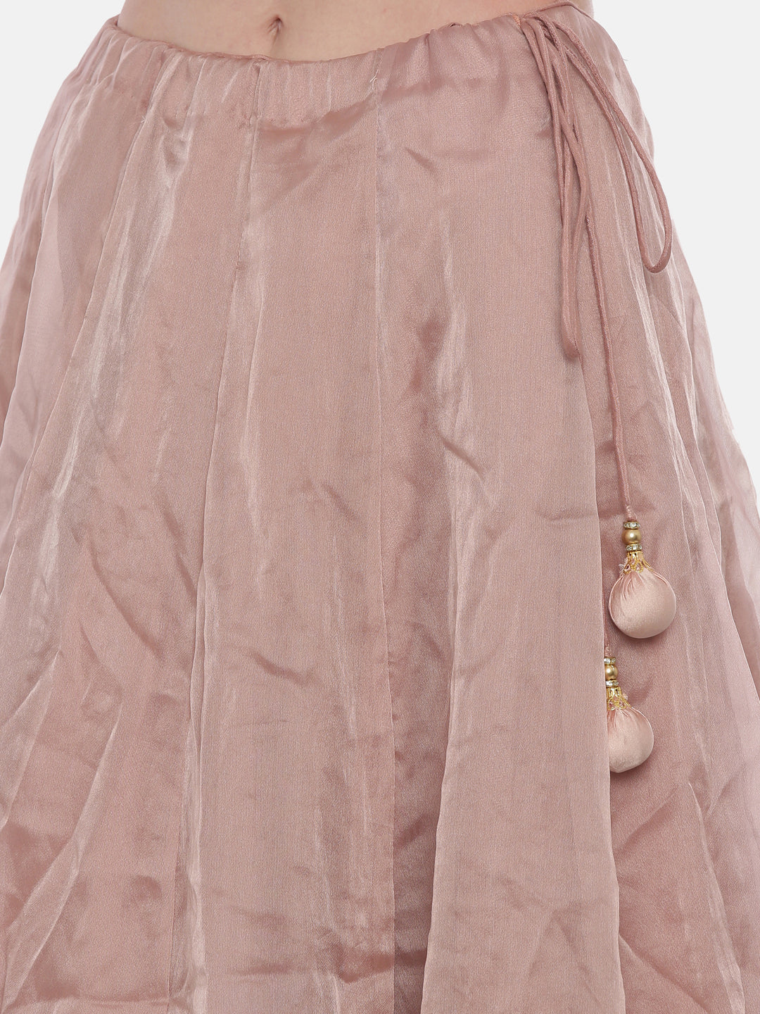 Neerus Pink net embellished lehenga set - detail view 4
