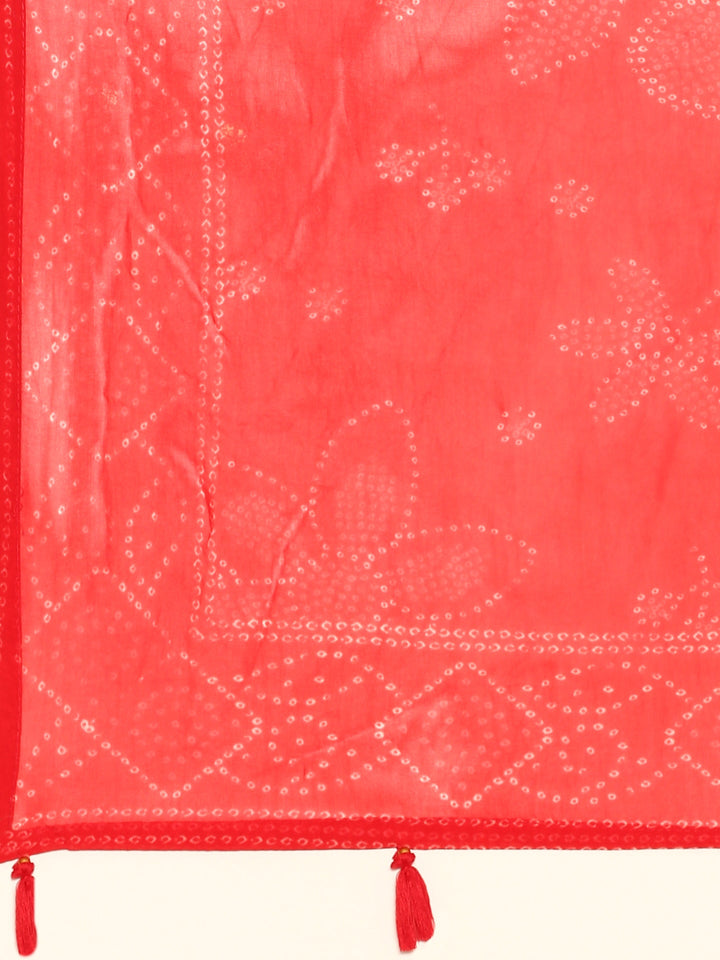 Neerus Red organza embroidered suit set - detail view 4