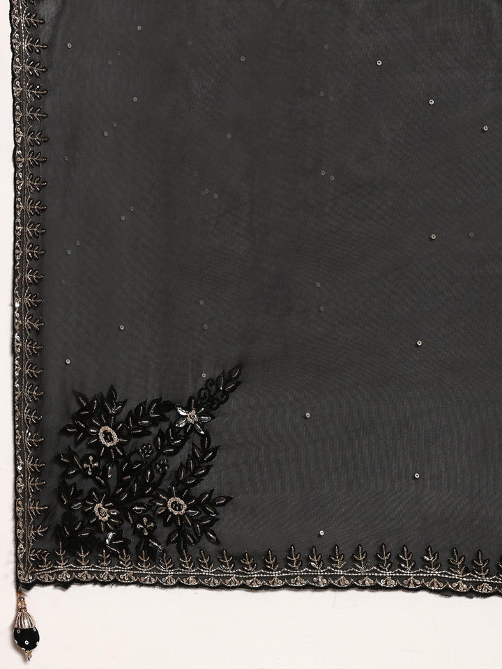 Neerus Black organza hand embroidered saree - detail view 2
