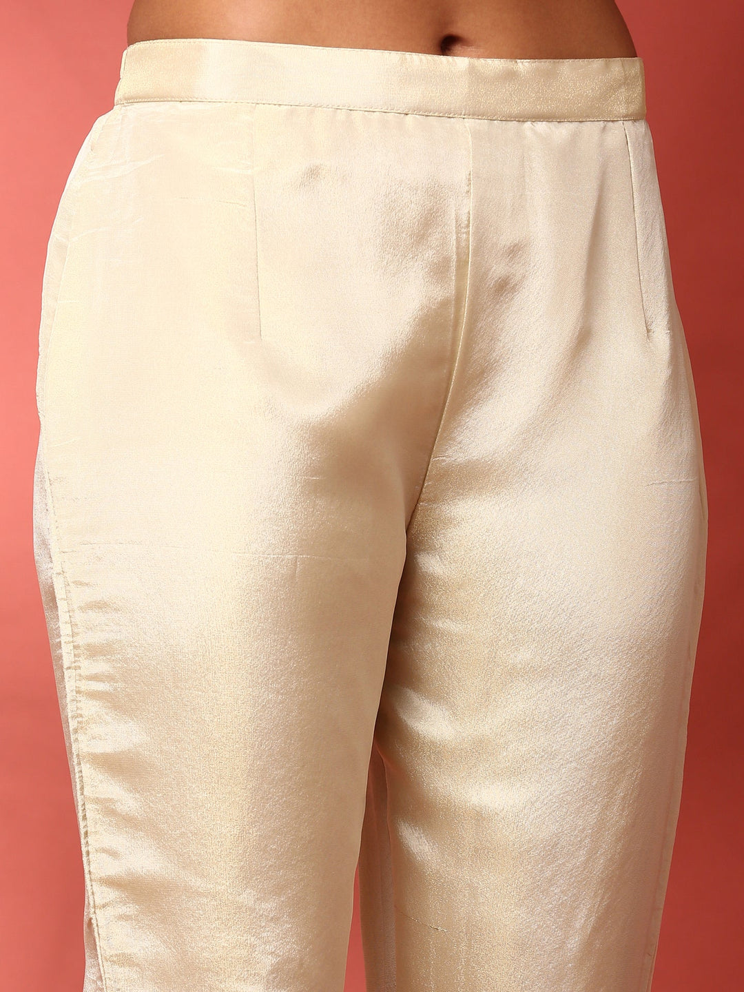 Neerus Beige tissue hand embroidered anarkali suit set - detail view 3