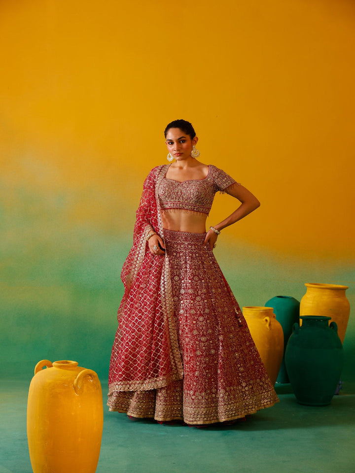 Neerus Pink net embroidered lehenga set - front view