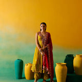 Neerus Green Embroidery Organza Fabric Anarkali Plazzo and Dupatta.