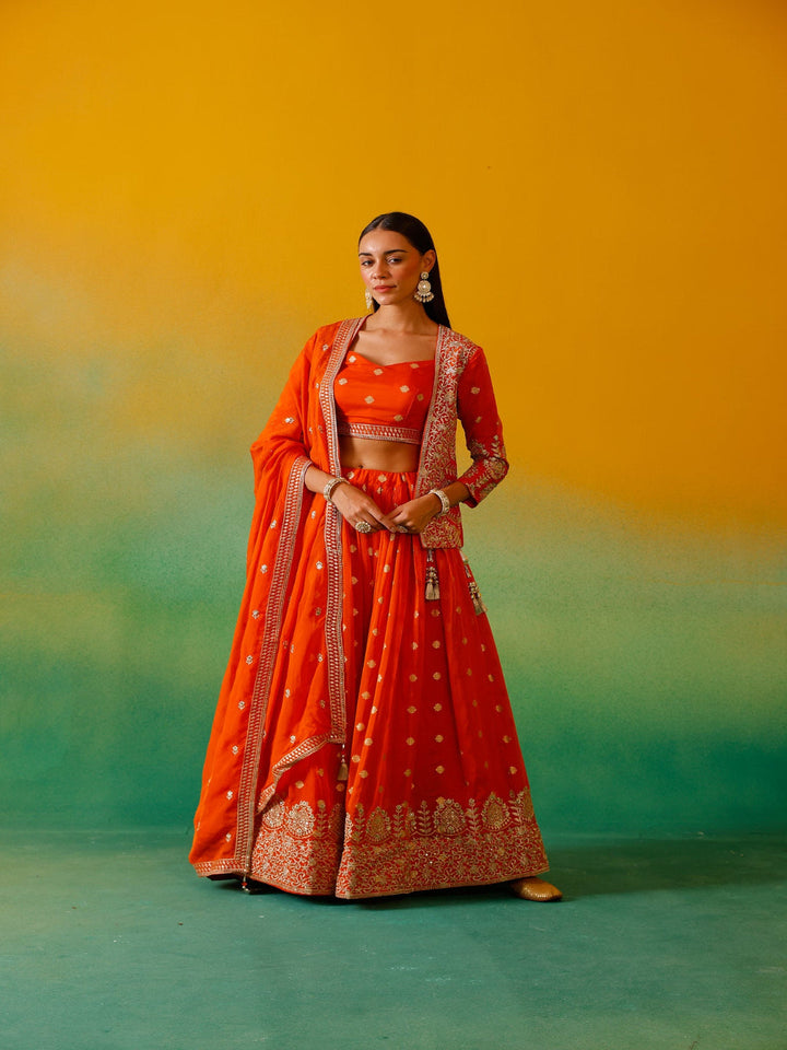 Neerus Orange organza embroidered lehenga ghagra set - front view