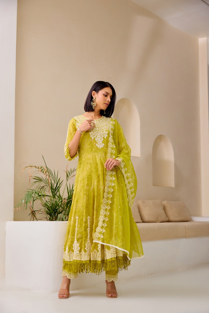 Neerus Green Embellished Flared Suit Set - front view