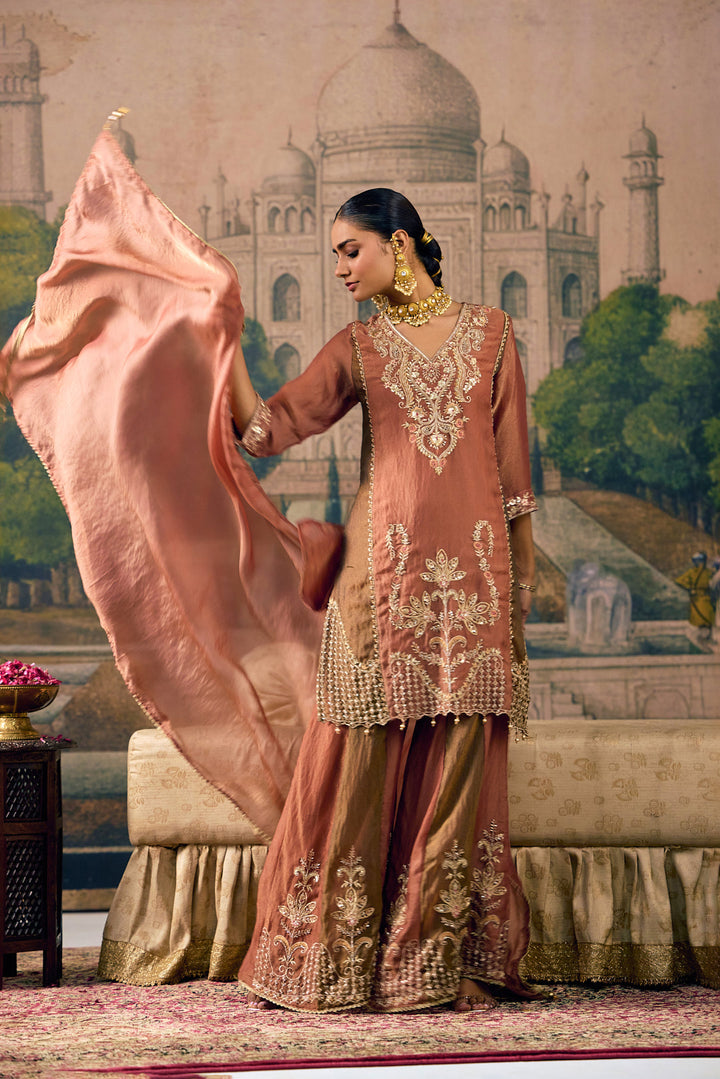 Rust Tissue Zari And Thread Embroidered Three Piece Set