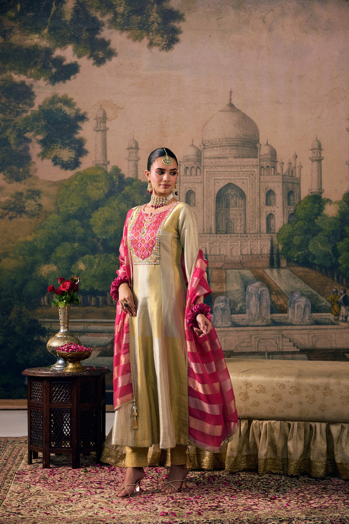 Rani Pink Tissue Solid With Patola Printed Three Piece Set