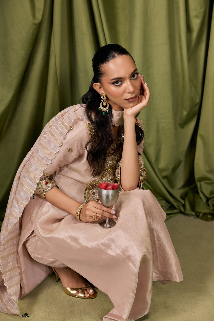 Beige Tissue Solid With Embroidered Three Piece Set