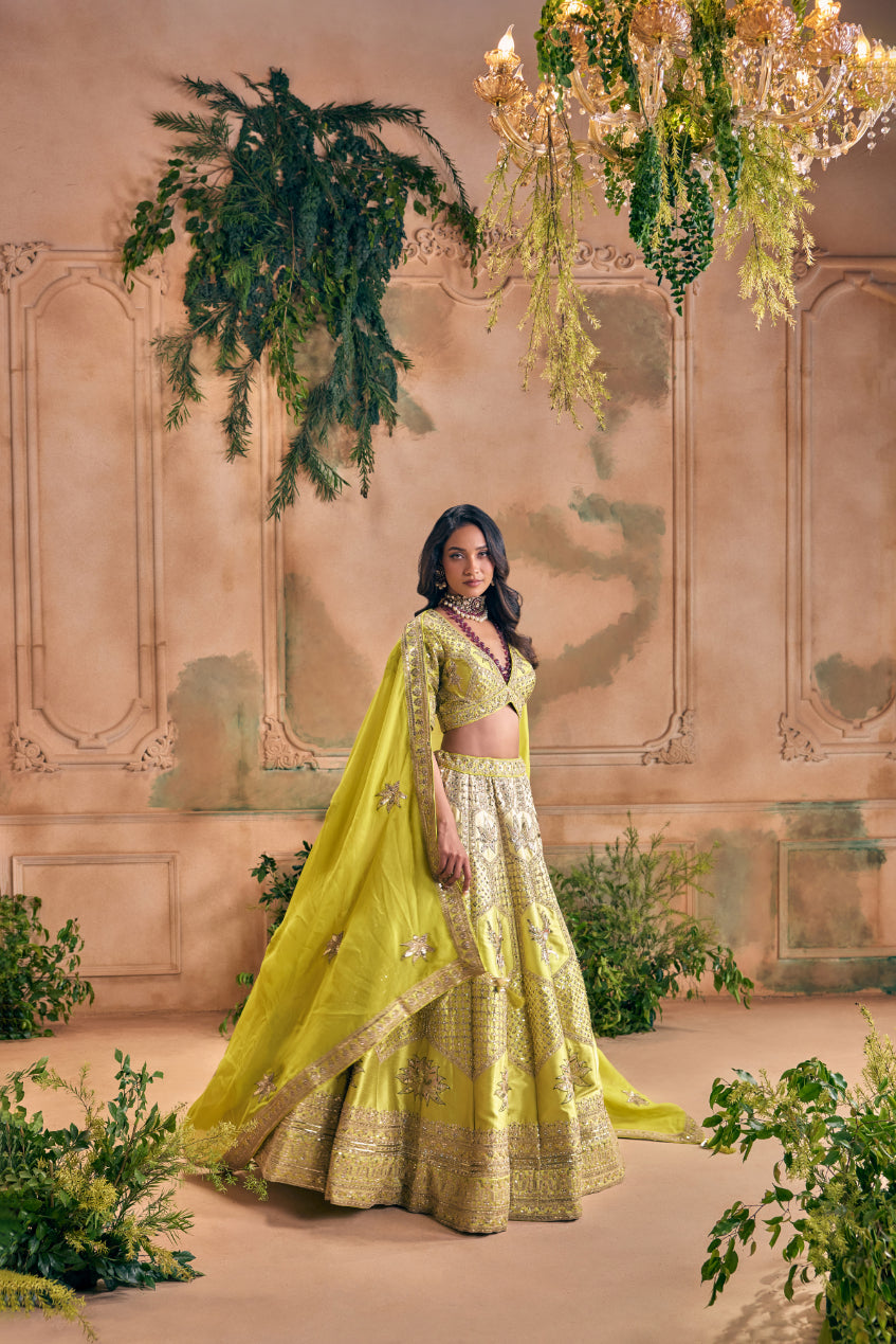 Neerus Green silk embroidered lehenga set - back view