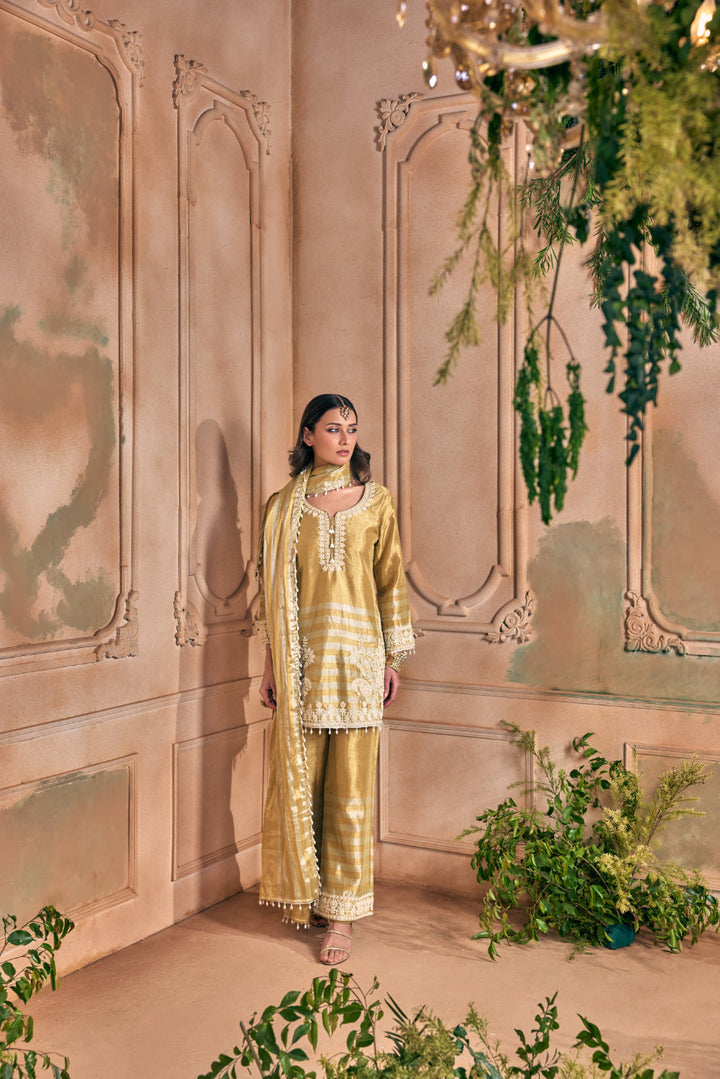 Neerus Gold tissue embellished suit set - back view