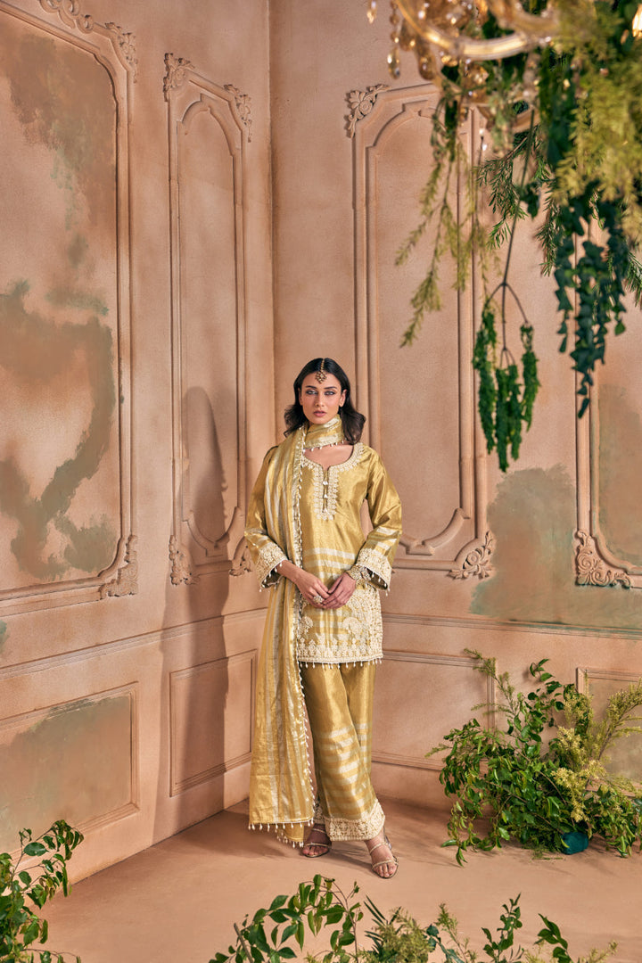 Neerus Gold tissue embellished suit set - detail view 1