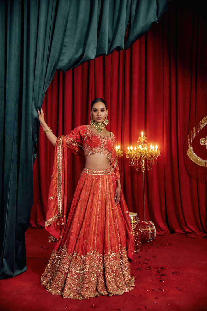 Neerus Red tissue hand embroidered lehenga set - back view