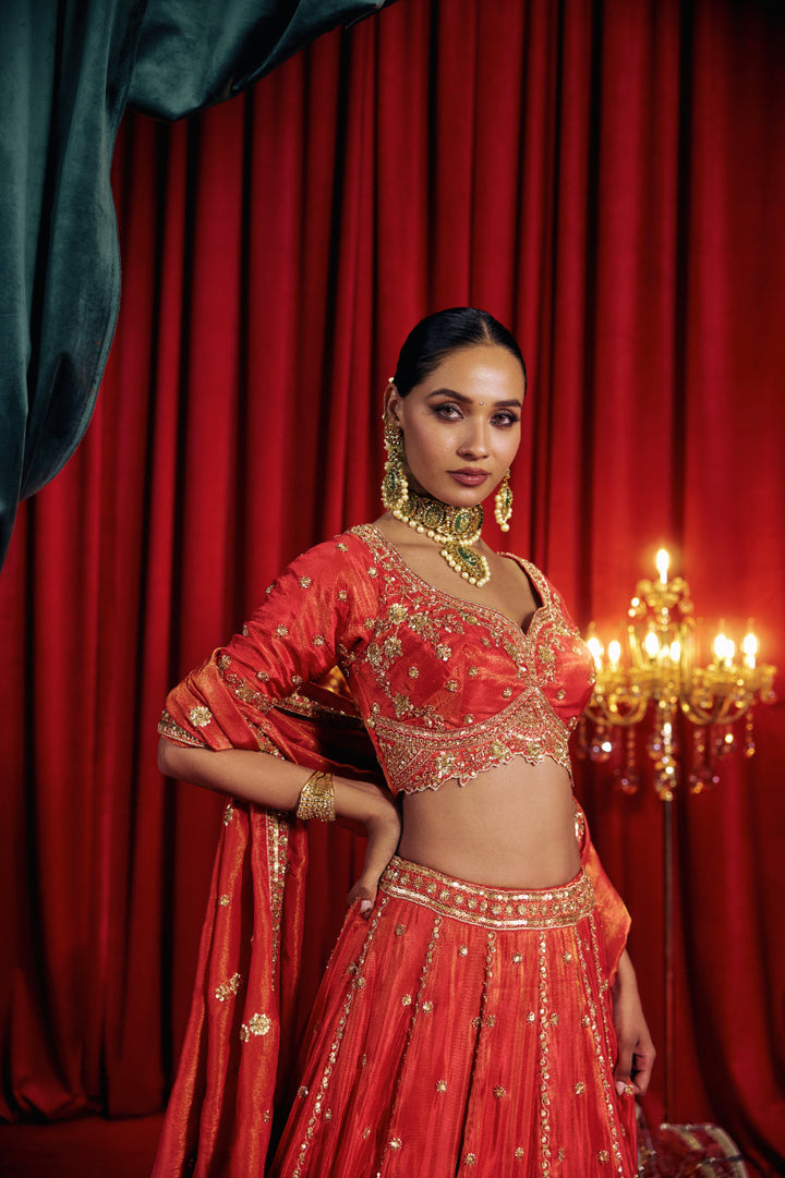 Neerus Red tissue hand embroidered lehenga set - detail view 2